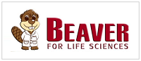 BEAVER